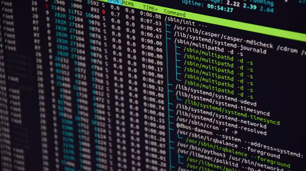 En computerskærm viser en serverprocesliste og terminaloutput, der viser aktive kommandoer og ressourceforbrug i et Linux-miljø.